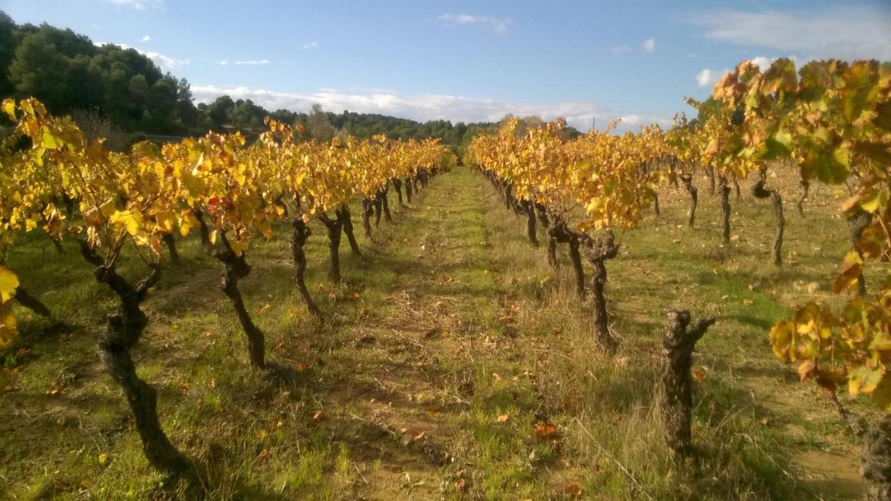 Country house Domaine D'azeou
