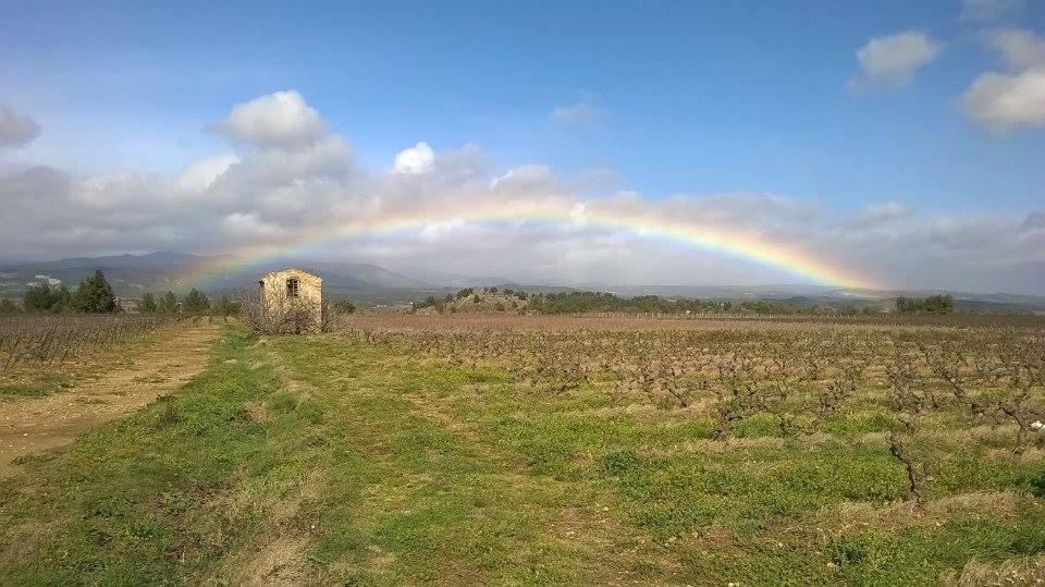 Domaine D'azeou Laure-Minervois