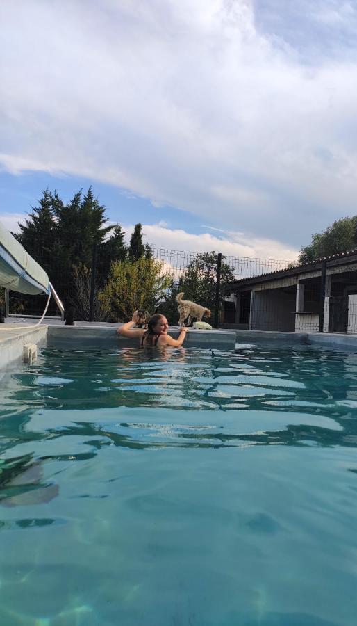 Domaine D'azeou Country house Laure-Minervois